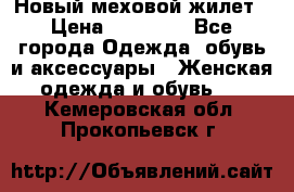 Новый меховой жилет › Цена ­ 14 000 - Все города Одежда, обувь и аксессуары » Женская одежда и обувь   . Кемеровская обл.,Прокопьевск г.